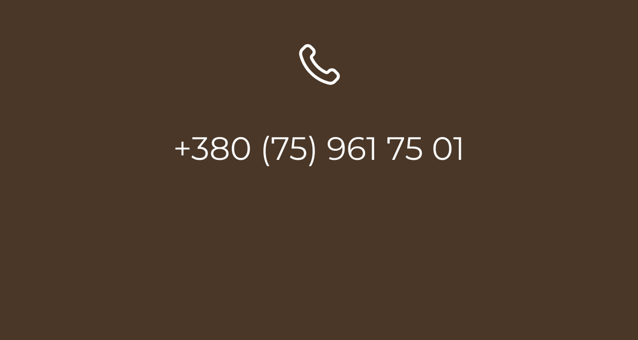 +380 (75) 961 75 01